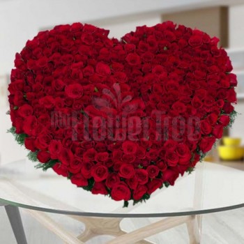 300 Red roses  in Heart-...
